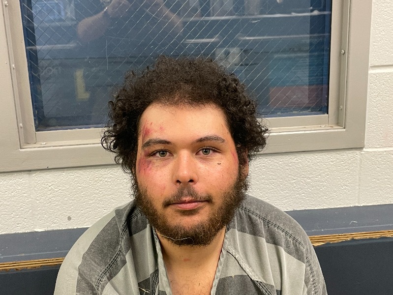 HENDERSON COUNTY SHERIFF'S OFFICE RESPONDS TO DISTURBANCE WITH MULTIPLE STABBINGS - Vimarsana News